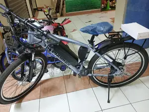 Phoenix Electric Mountain Bicycle