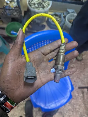 Passo Oxygen Sensor B1020