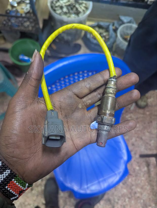 Passo Oxygen Sensor B1020 - main view