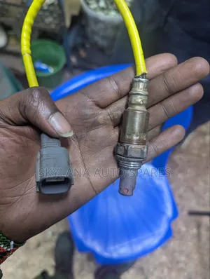 Passo Oxygen Sensor B1020