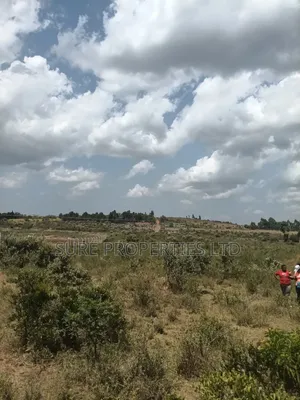 KIKUYU Kamangu Nachu