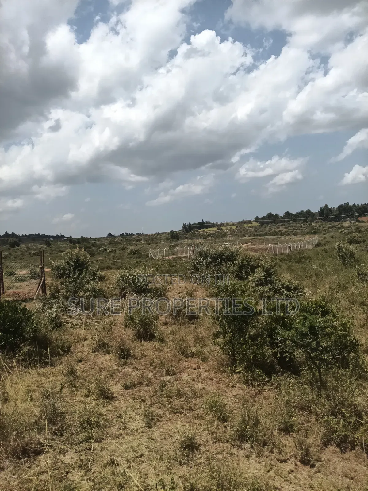 KIKUYU Kamangu Nachu