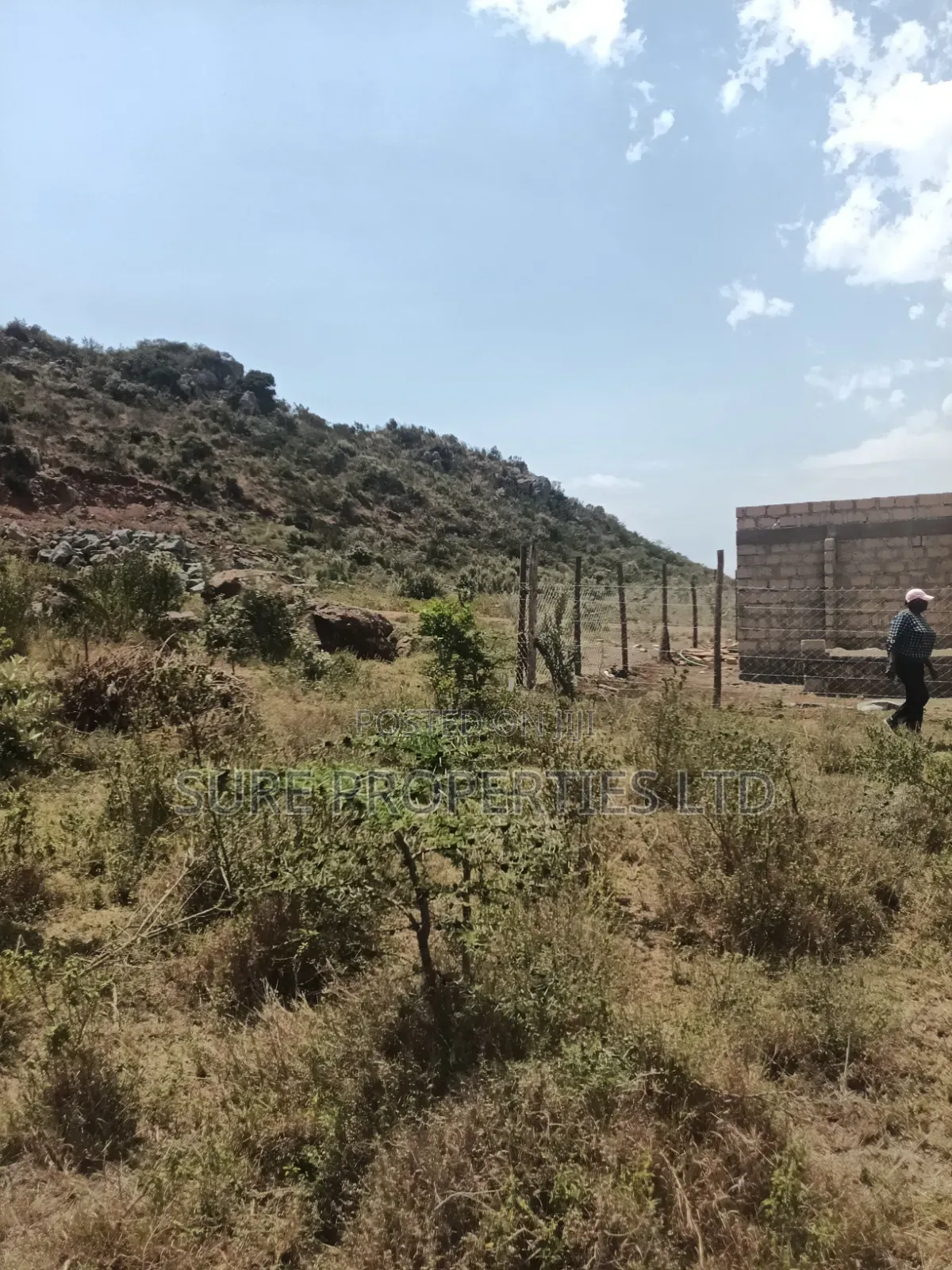KIKUYU Kamangu Nachu