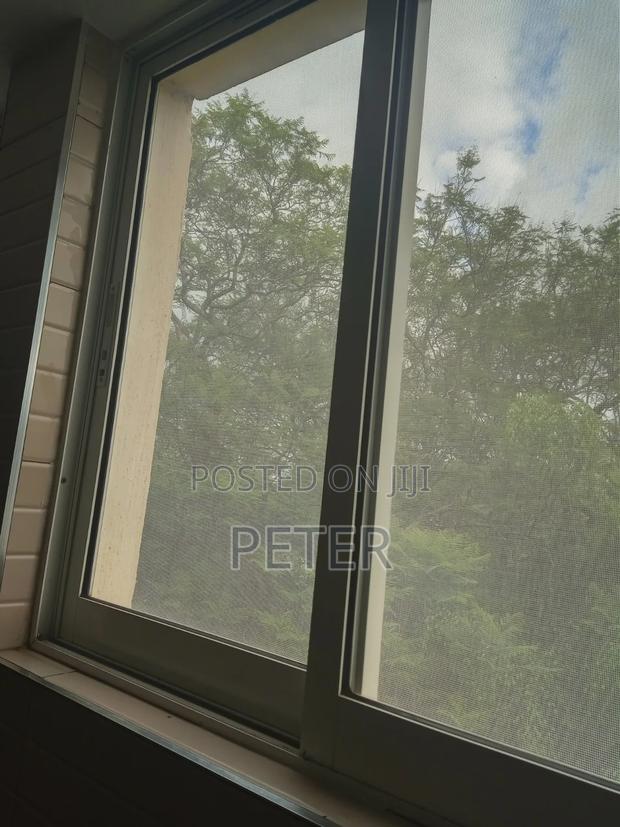 Windows Mosquito Net - main view