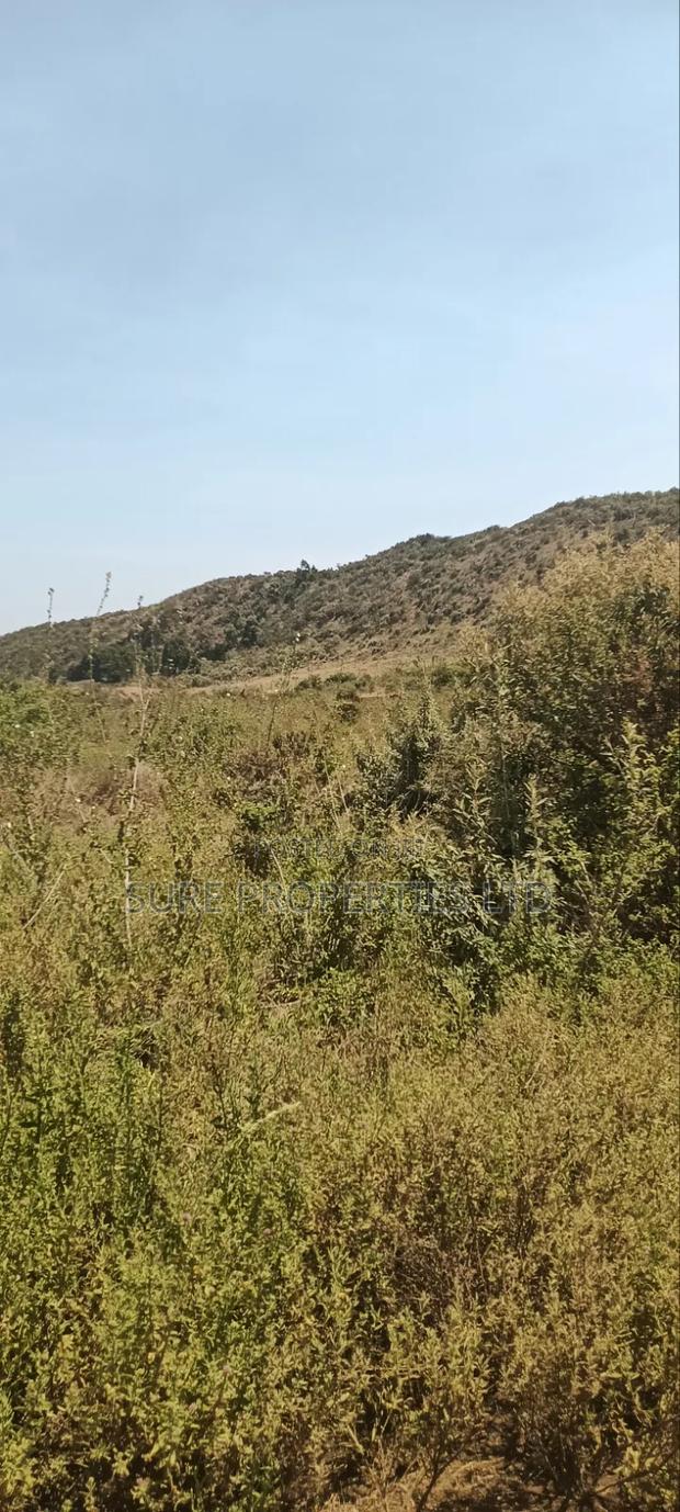 KIKUYU Kamangu Nachu