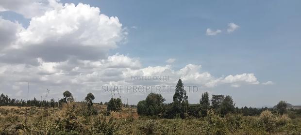 KIKUYU Kamangu Nachu - thumbnail 2