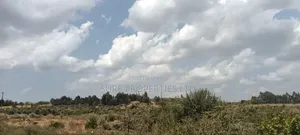 KIKUYU Kamangu Nachu