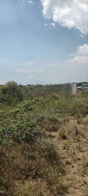 KIKUYU Kamangu Nachu