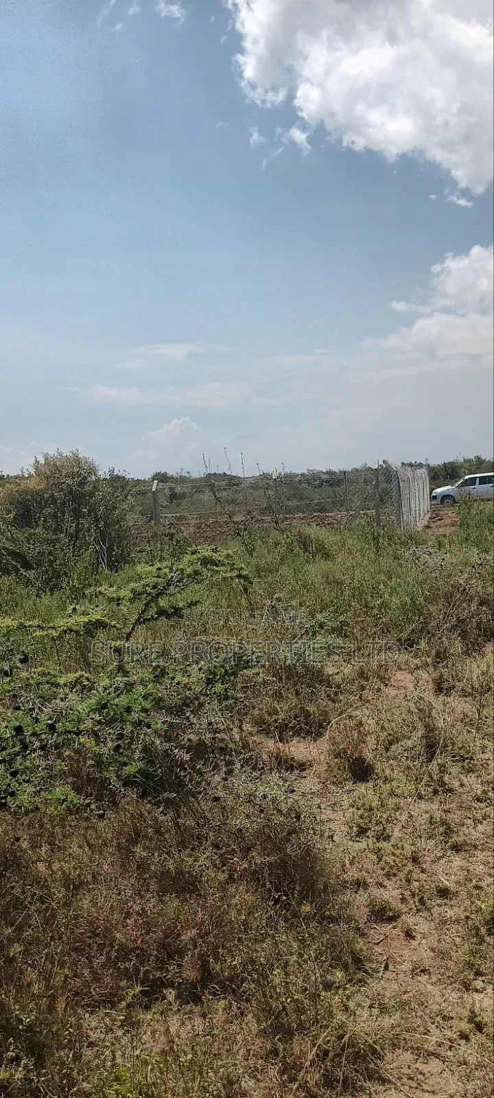 KIKUYU Kamangu Nachu