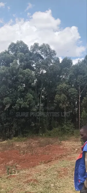 KIKUYU Kamangu Muslim