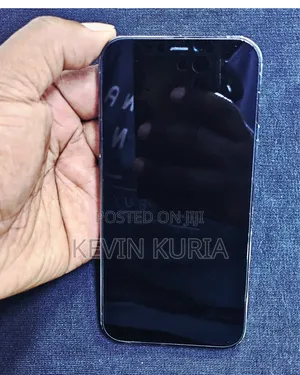 Apple iPhone 12 Pro 256 GB Blue