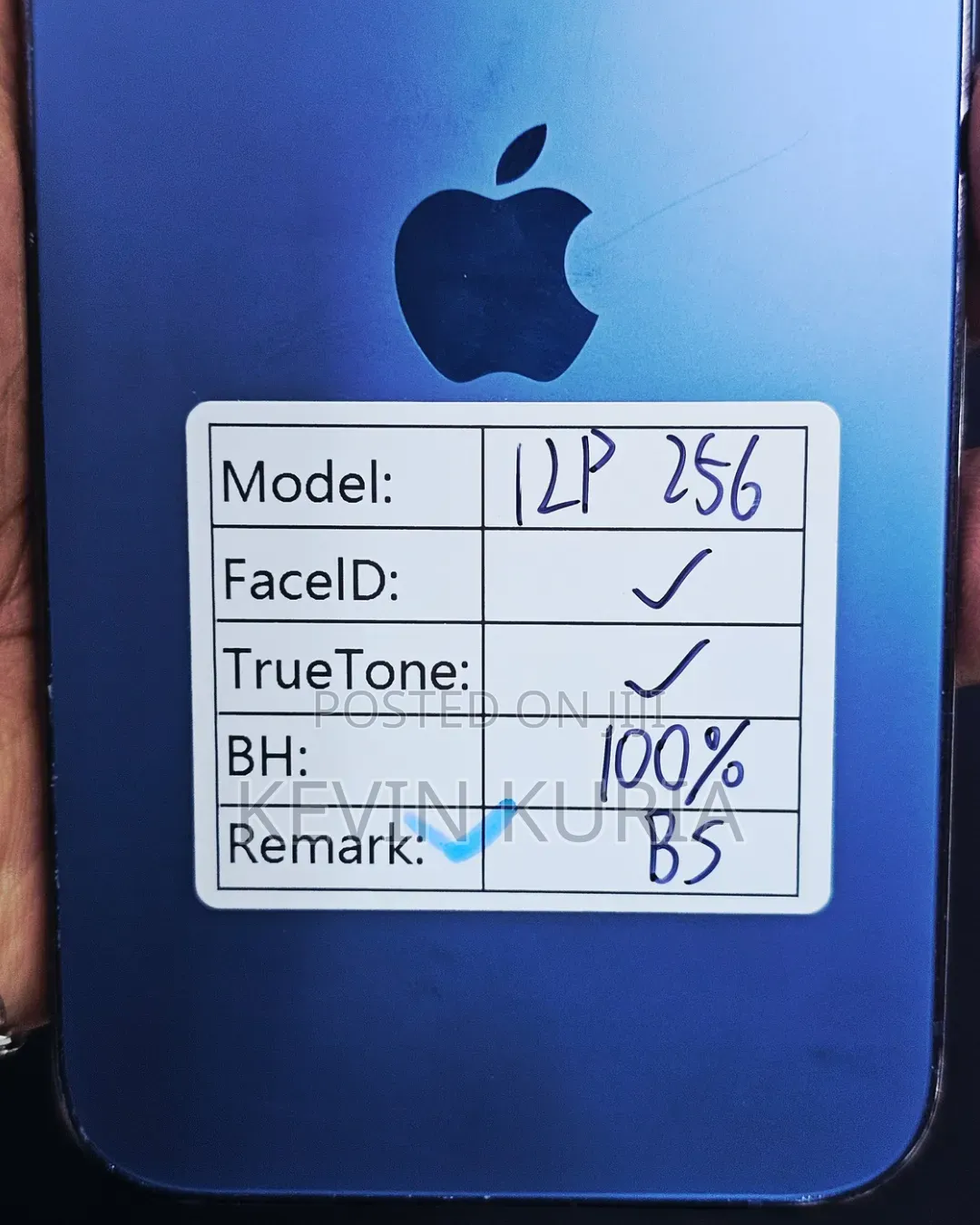 Apple iPhone 12 Pro 256 GB Blue