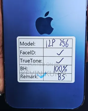 Apple iPhone 12 Pro 256 GB Blue