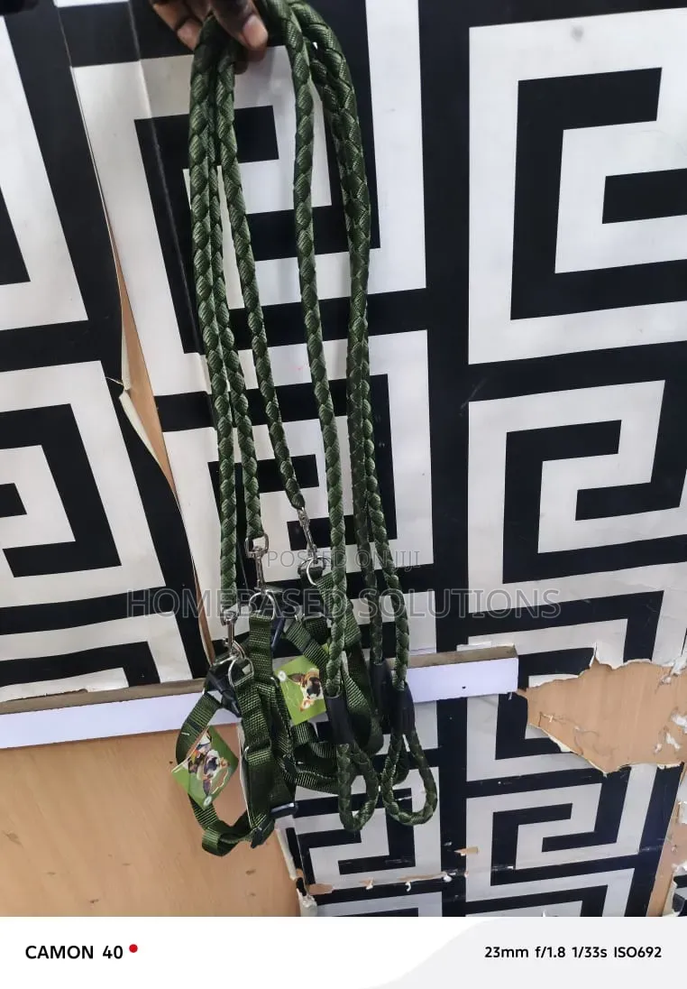 Jungle Green for Medium Sized Dog