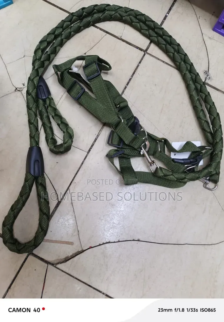 Jungle Green for Medium Sized Dog