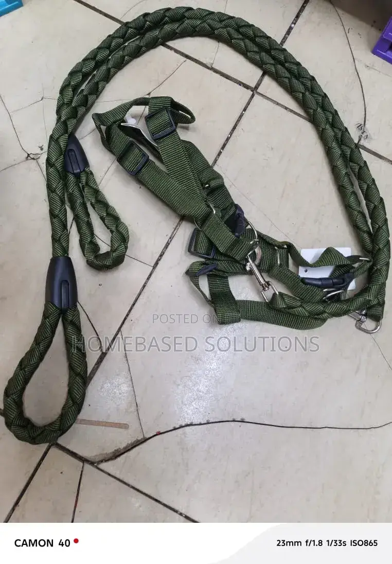 Jungle Green for Medium Sized Dog