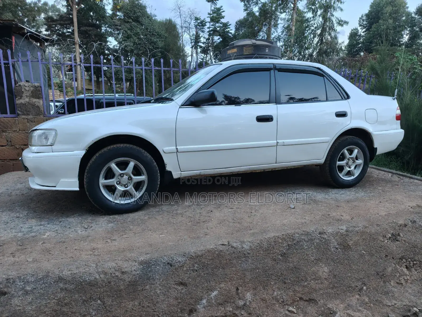 Toyota Corolla 2000 White