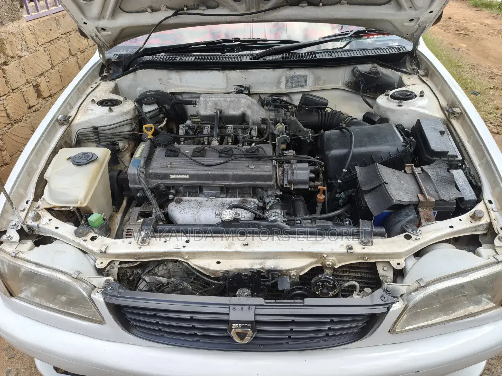 Toyota Corolla 2000 White