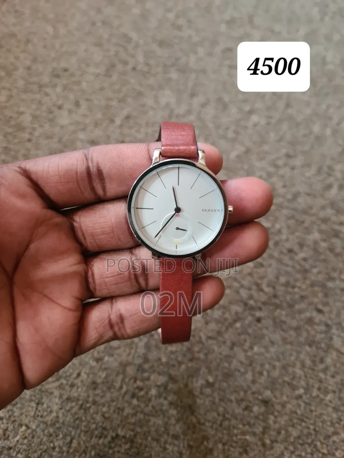 Skagen Ladies' Watch