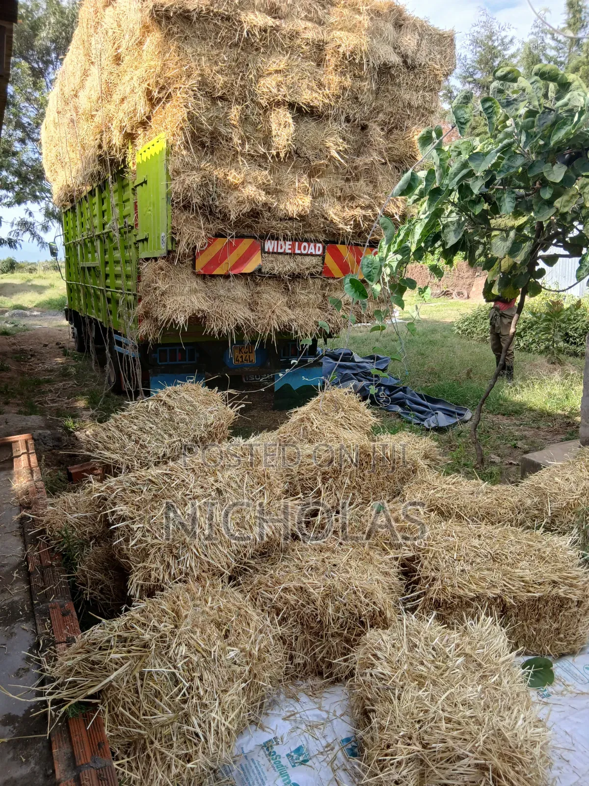 Boma Rhodes,barley Straws and Wheat Straws
