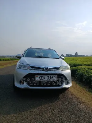 Toyota Corolla Fielder 2015 Silver