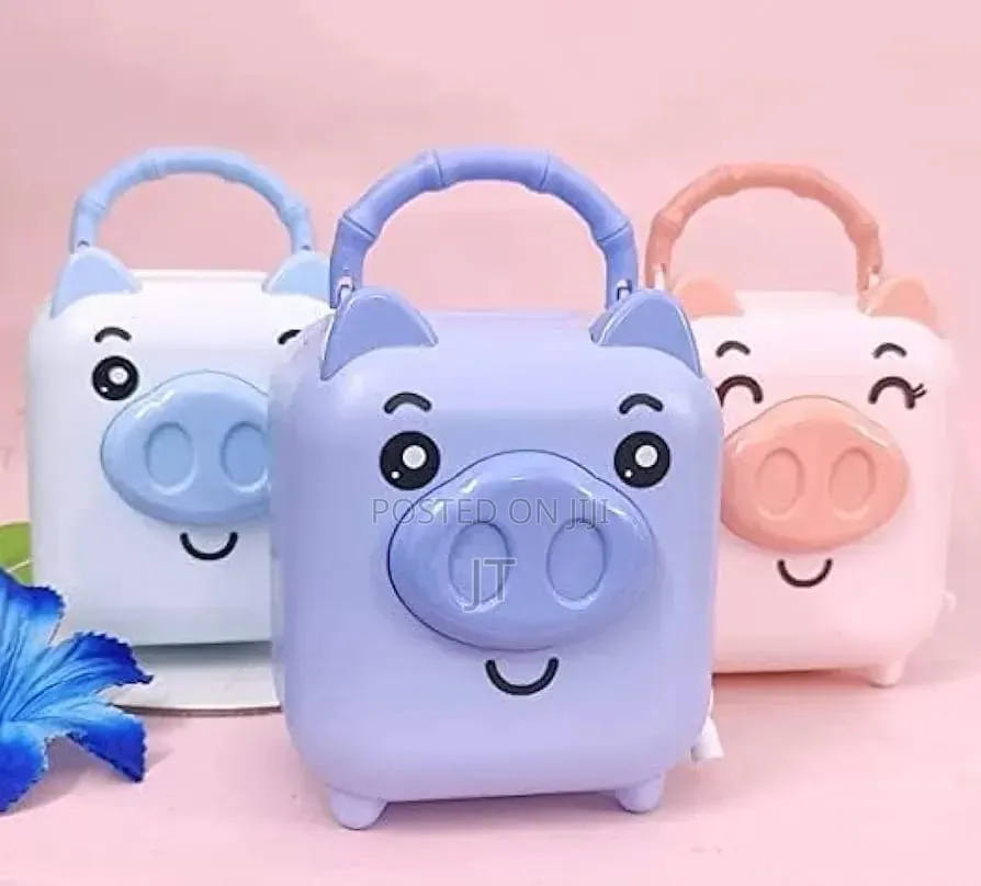 Pig Design Piggy Bank