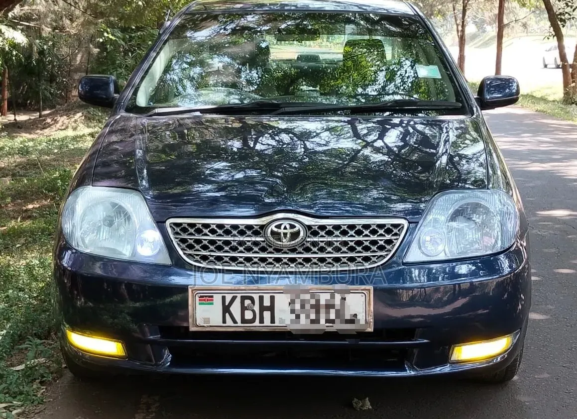 Toyota Corolla 2002 Blue