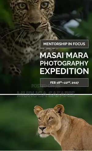 Masai Mara Safaris