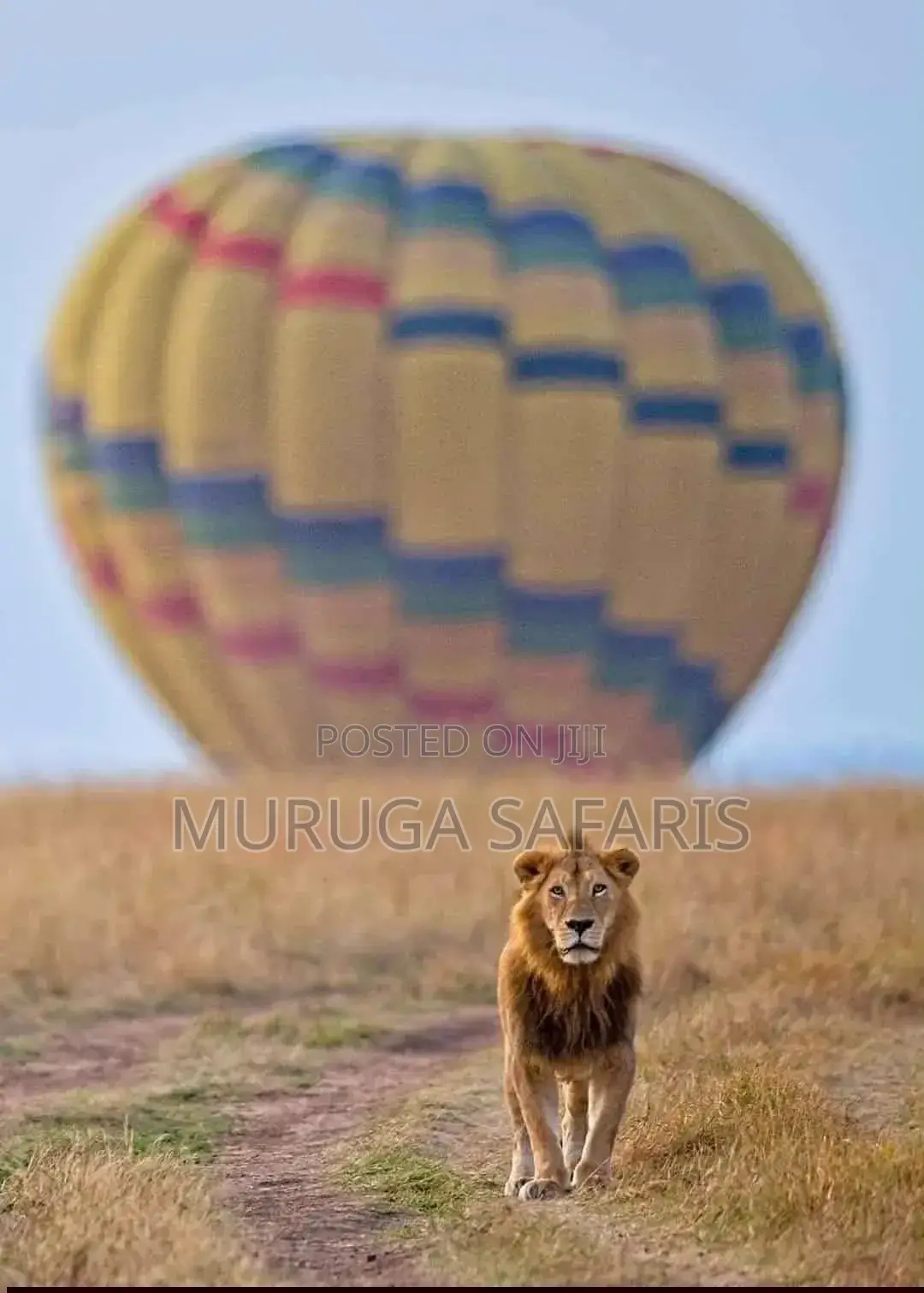 Masai Mara Safaris