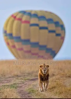 Masai Mara Safaris