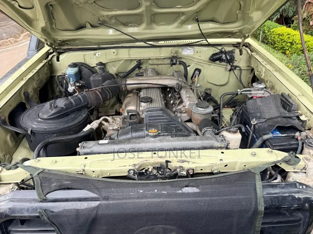 Toyota Land Cruiser 79 Series 2017 Green