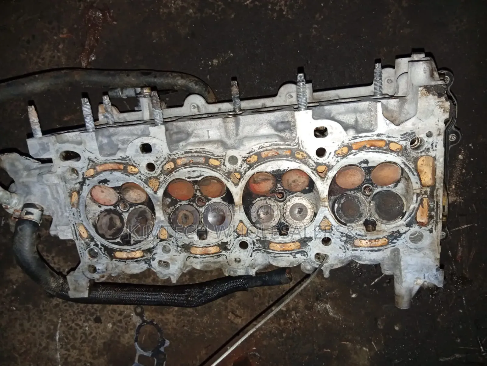 Cylinder Head for lF Engine
