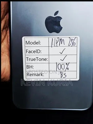 Apple iPhone 11 Pro Max 256 GB Green
