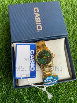 Assorted Stainless Gold Strap Quartz Casio