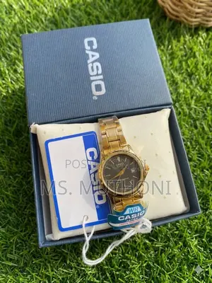 Assorted Stainless Gold Strap Quartz Casio