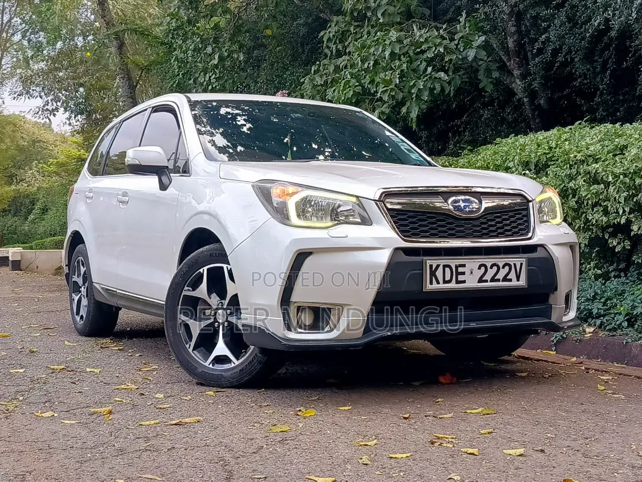 Subaru Forester 2014 White