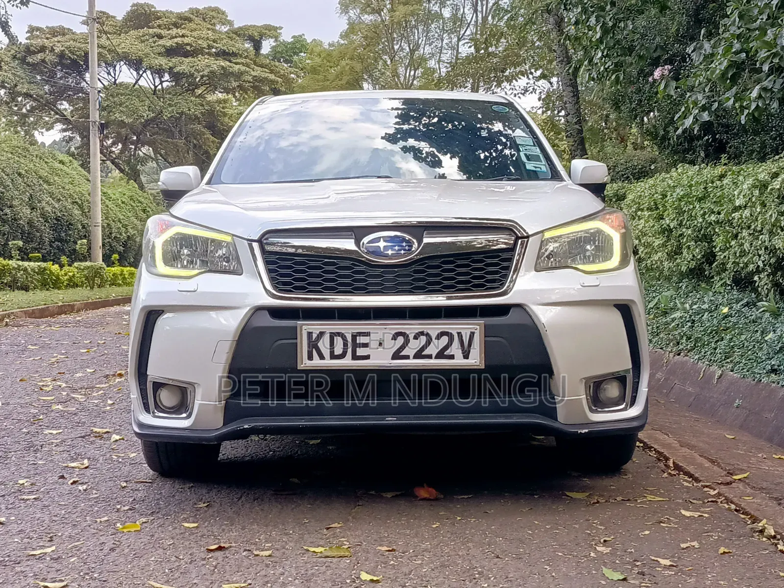 Subaru Forester 2014 White