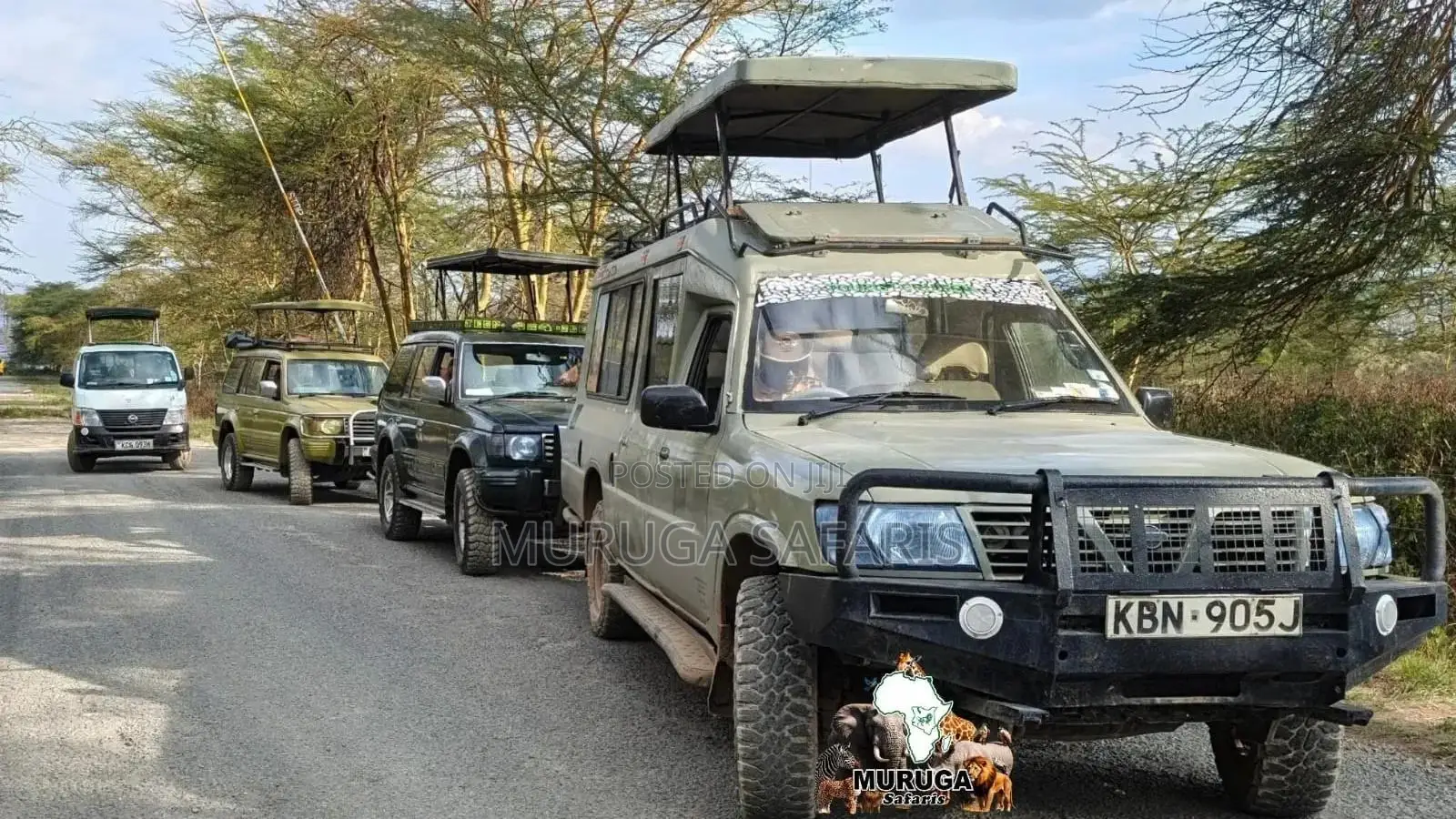Masai Mara Safaris