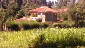 4bdrm Mansion in Lari/Kirenga for rent