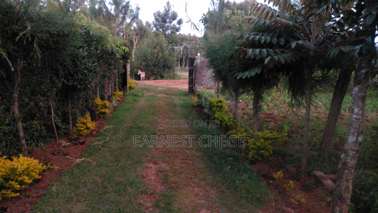 4bdrm Mansion in Lari/Kirenga for rent