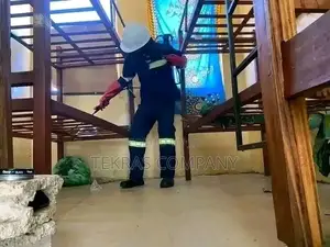 Fumigation of Bedbags and Coackroaches