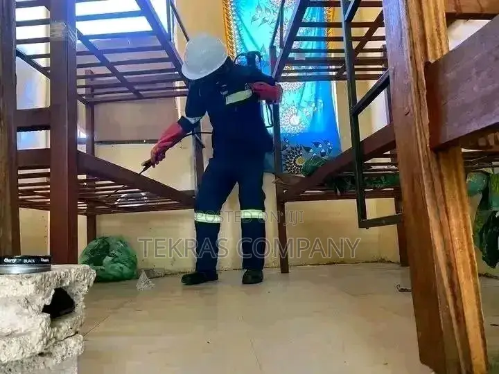 Fumigation of Bedbags and Coackroaches