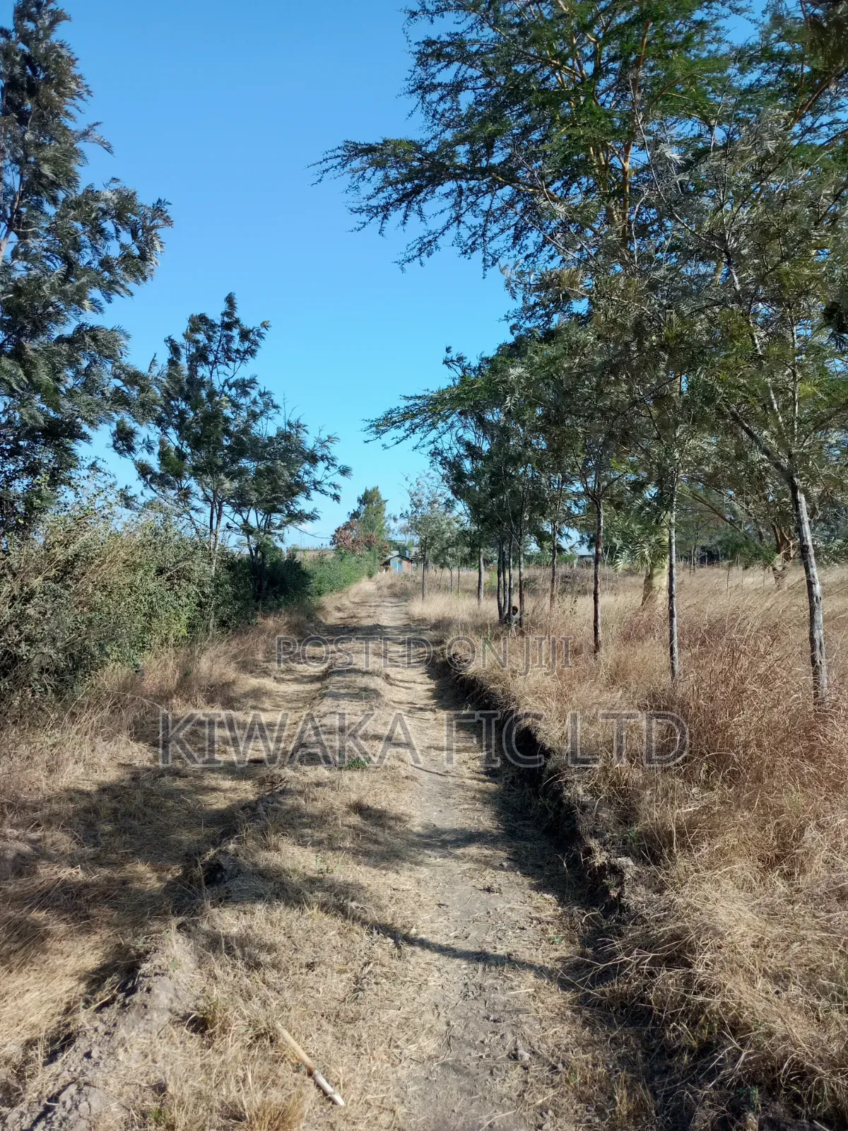 3 Acres for Sale in Ruai