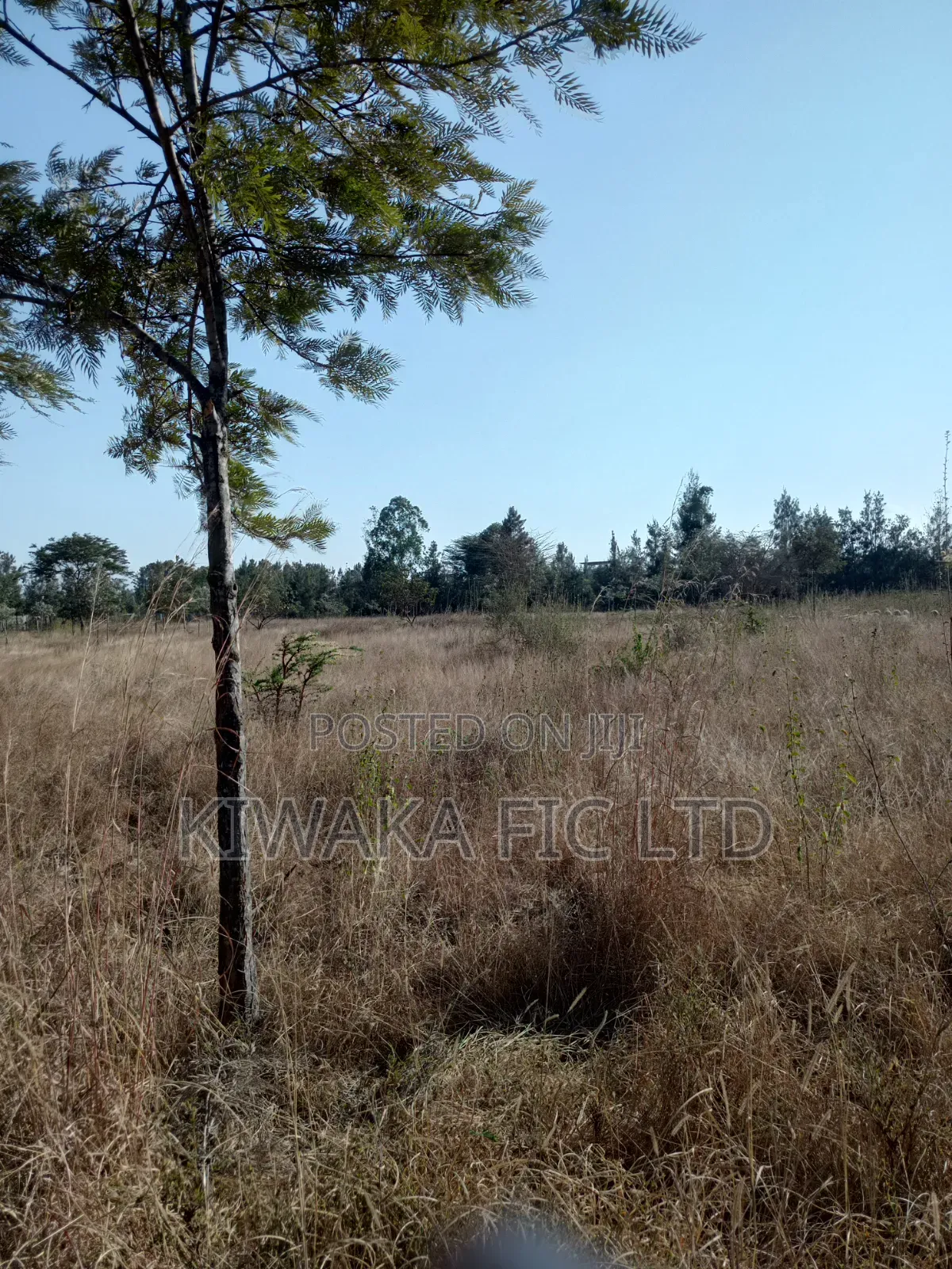 3 Acres for Sale in Ruai