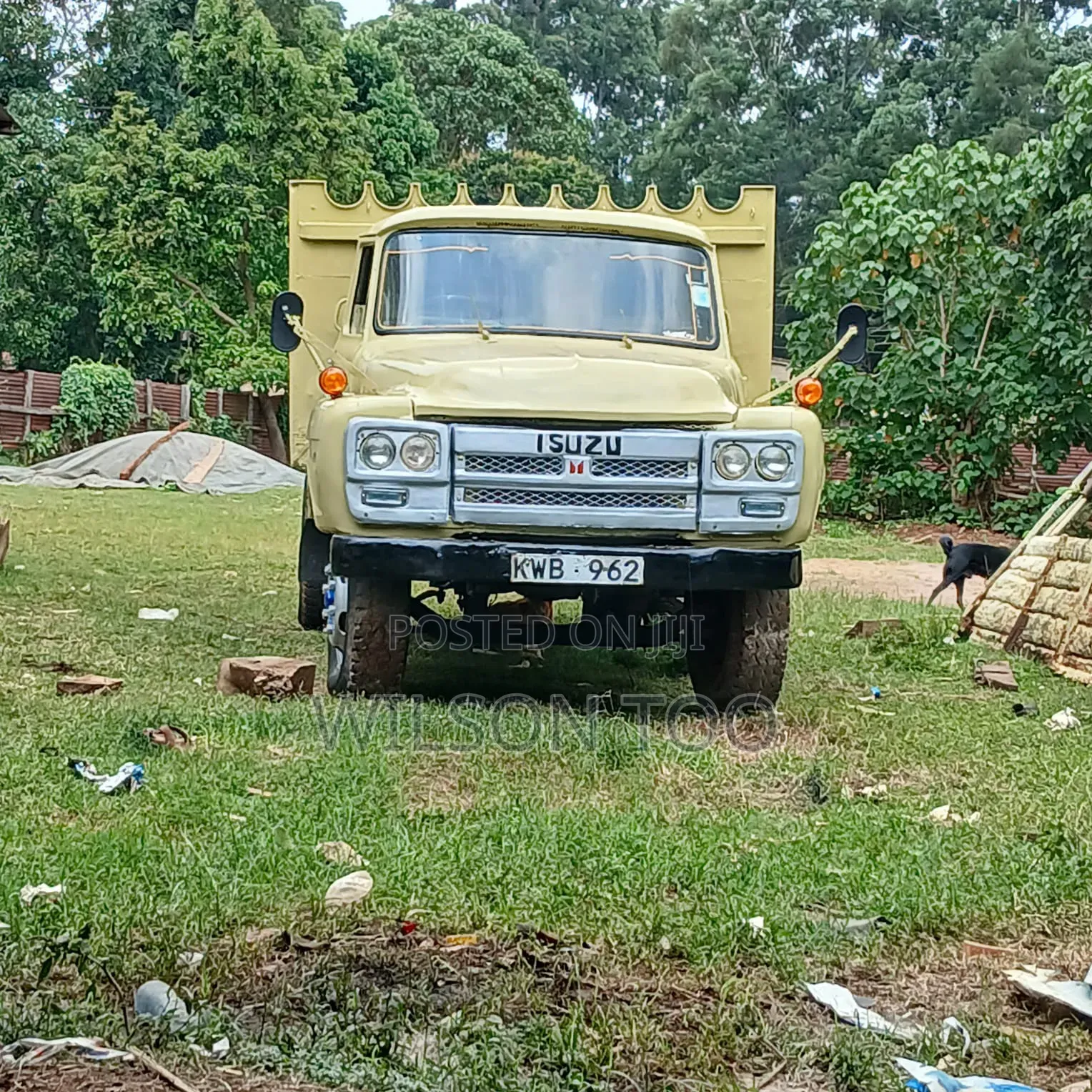 ISUZU Direct Tx55 KWB Lorry