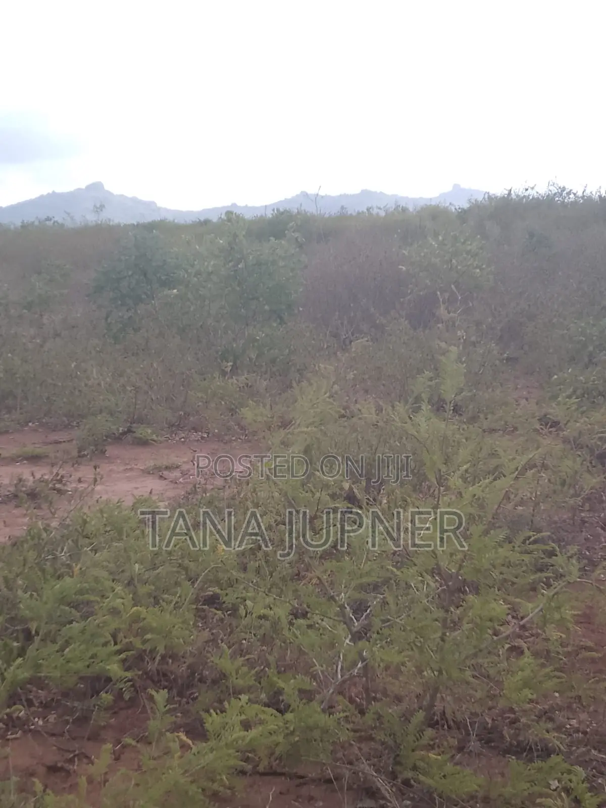 1/8 Acre Plots for Sale Mavoloni