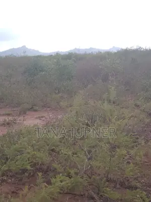 1/8 Acre Plots for Sale Mavoloni