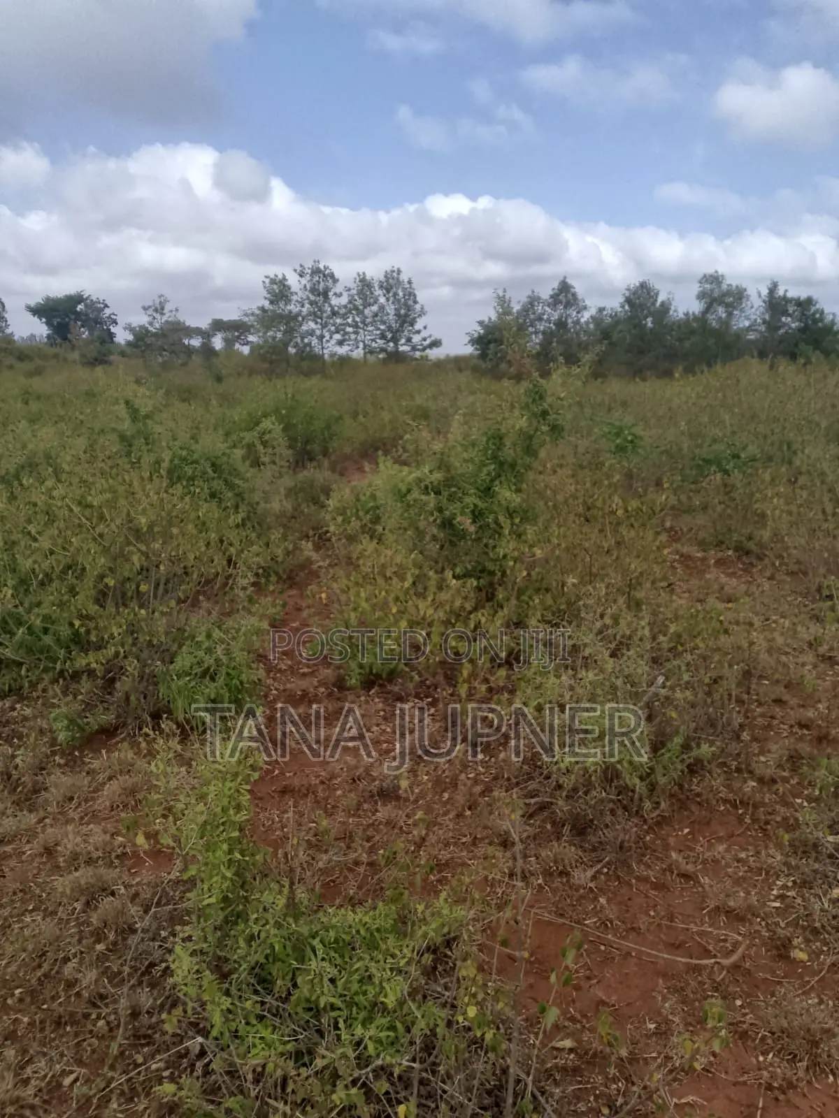 1/8 Acre Plots for Sale Mavoloni