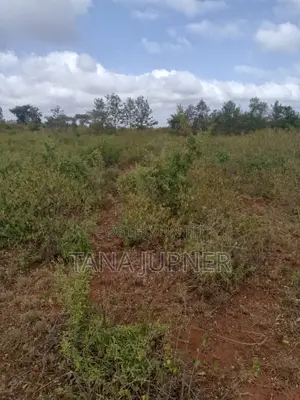 1/8 Acre Plots for Sale Mavoloni