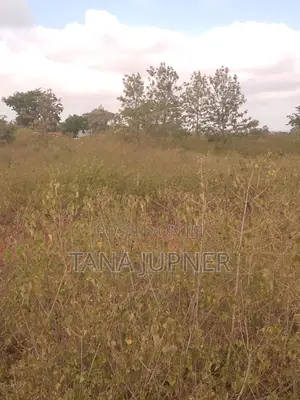 1/8 Acre Plots for Sale Mavoloni